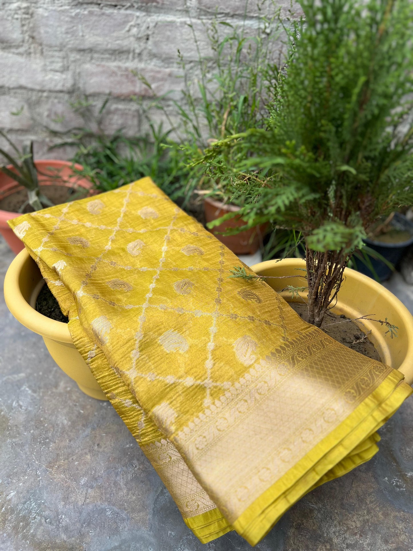 Banarasi Dyeable Soft Tissue Saree