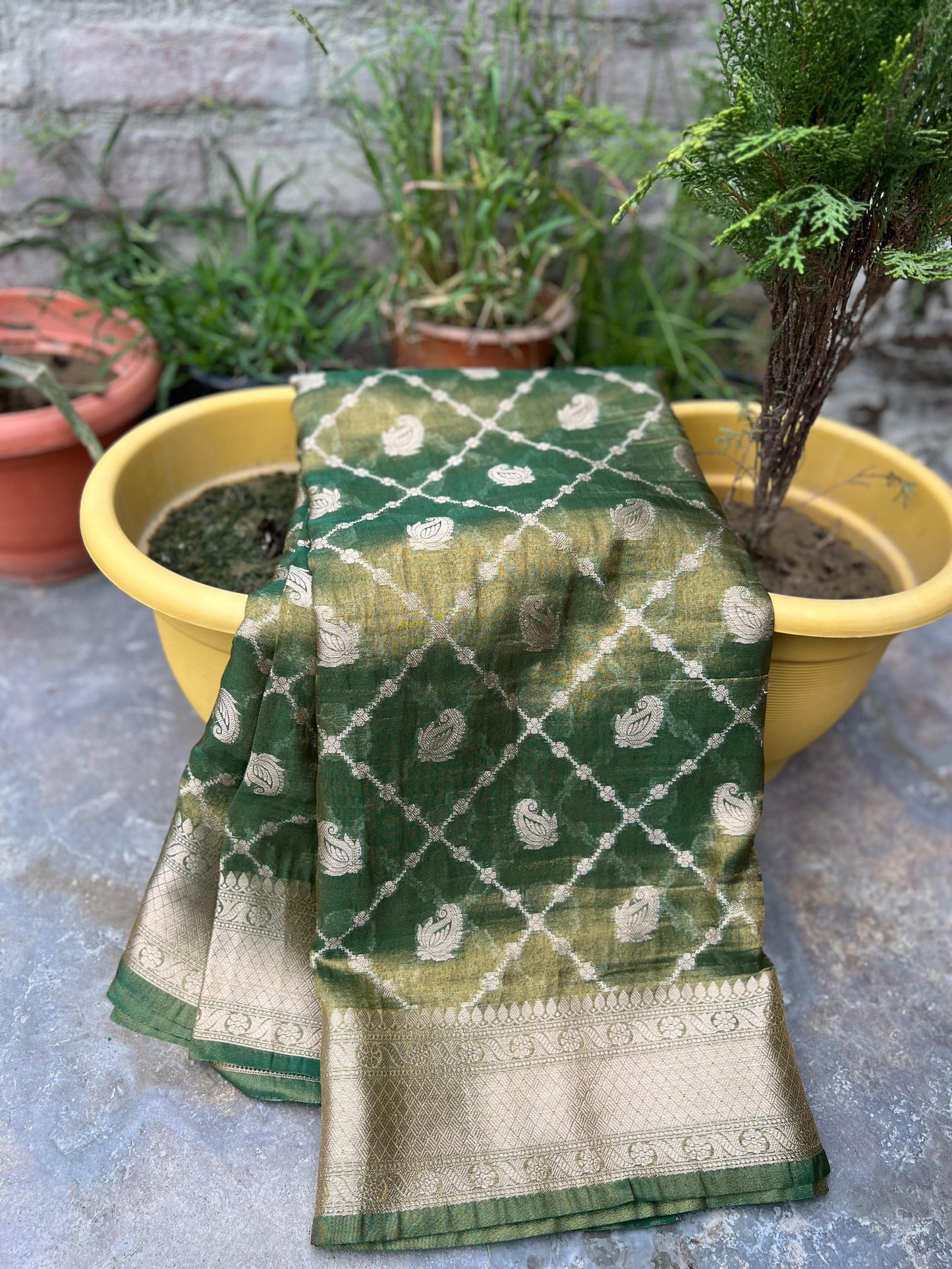Banarasi Dyeable Soft Tissue Saree