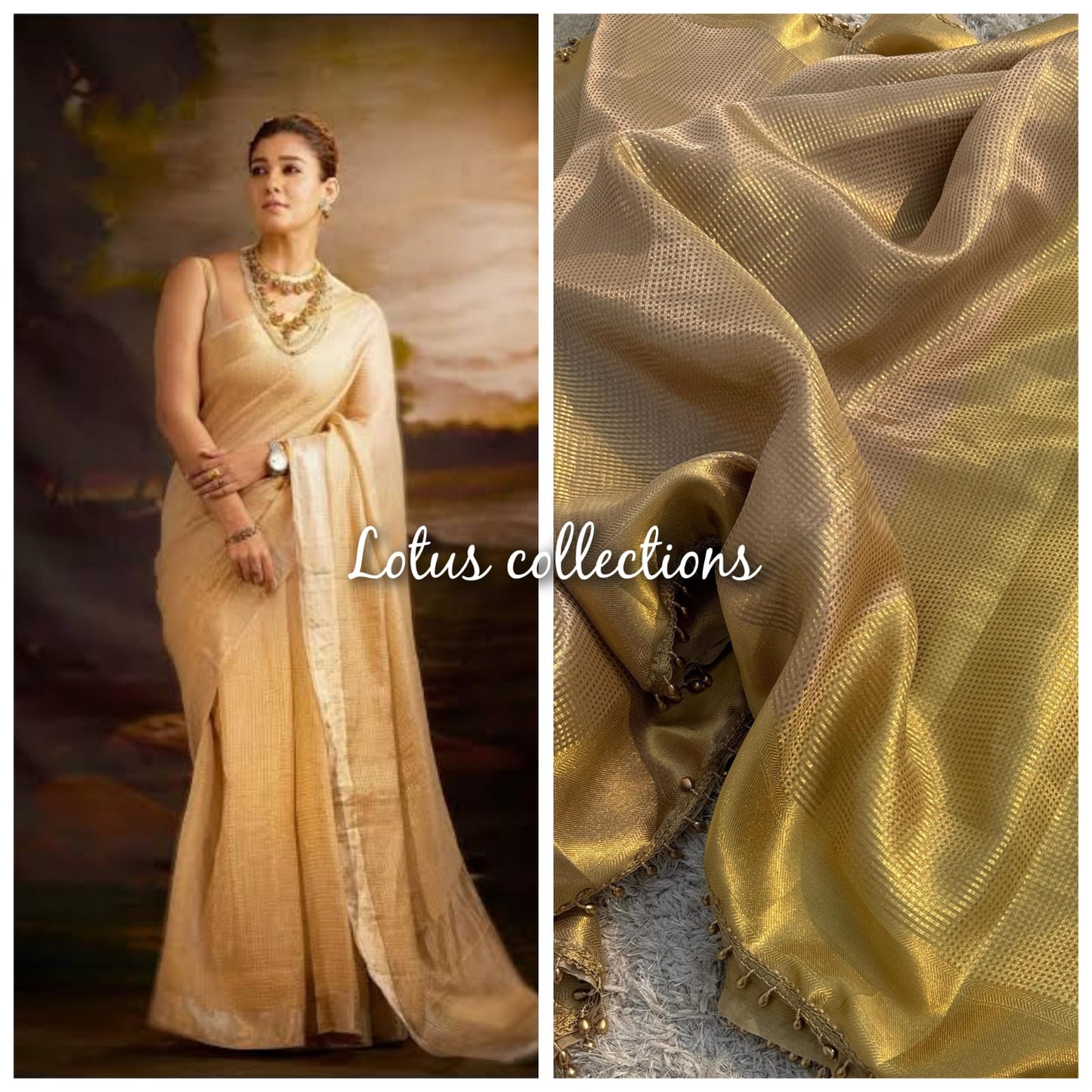 Banarasi Tissue Silk Fabric
