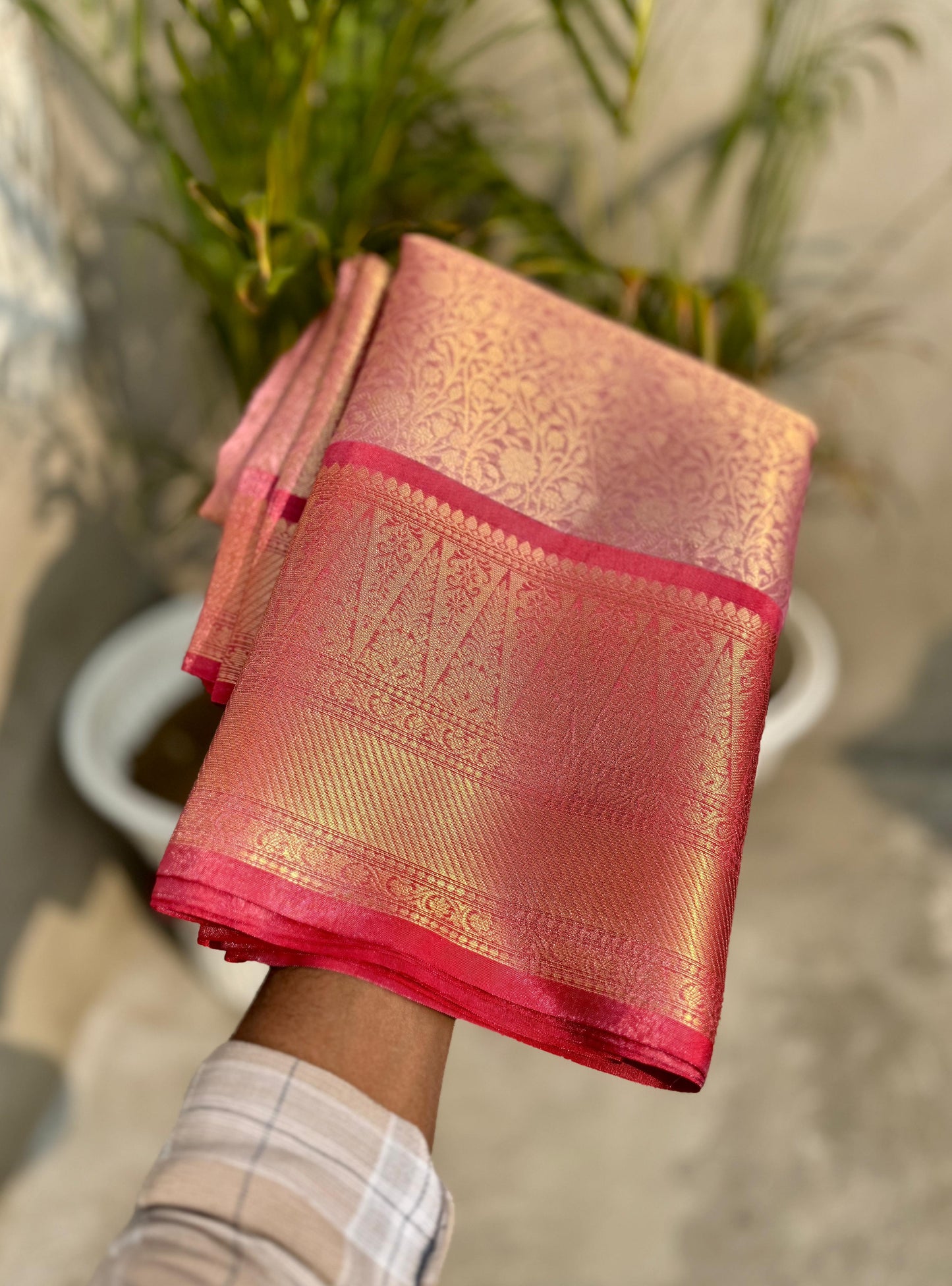 Banarasi Tissue Zari Saree