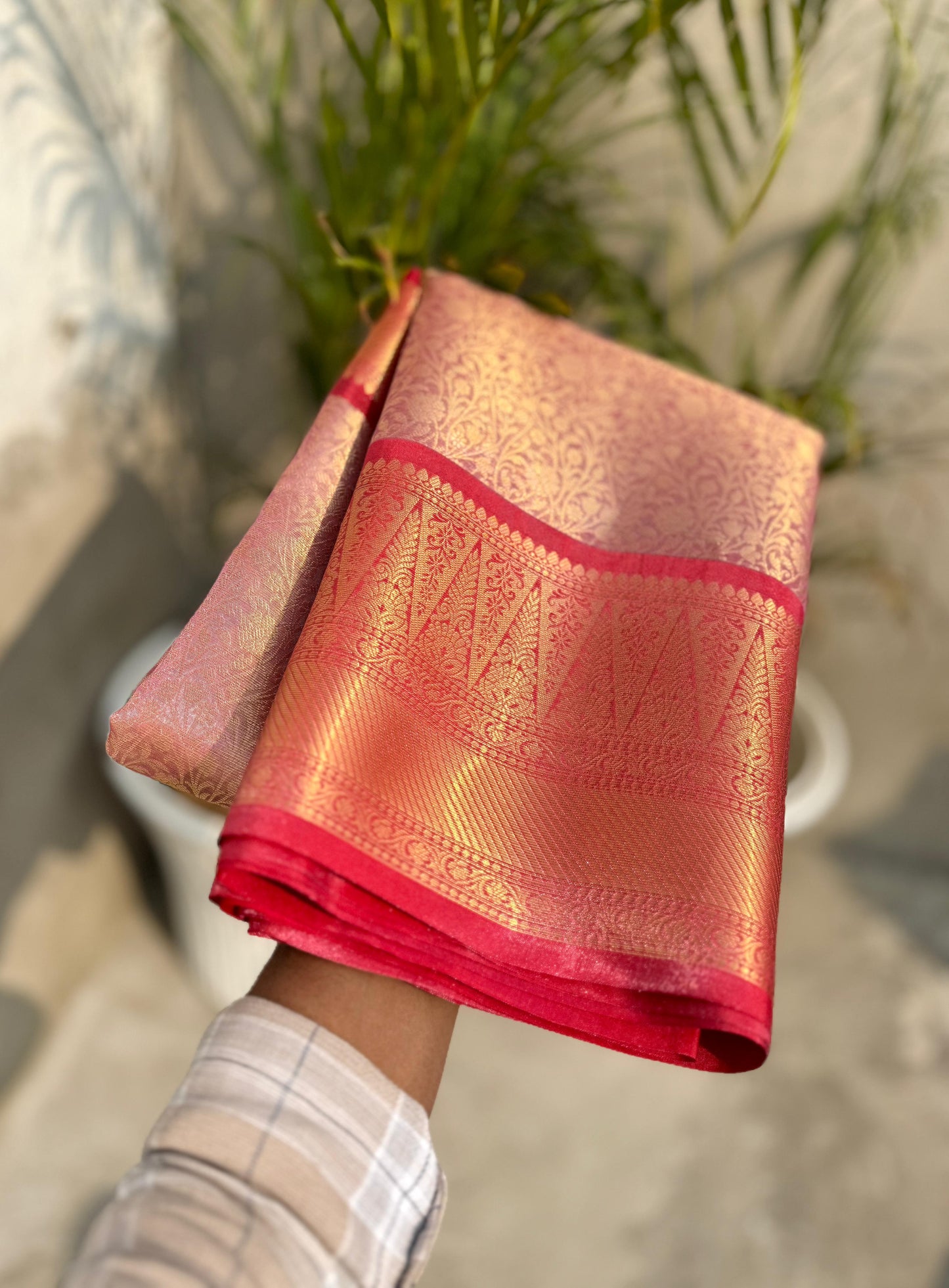 Banarasi Tissue Zari Saree