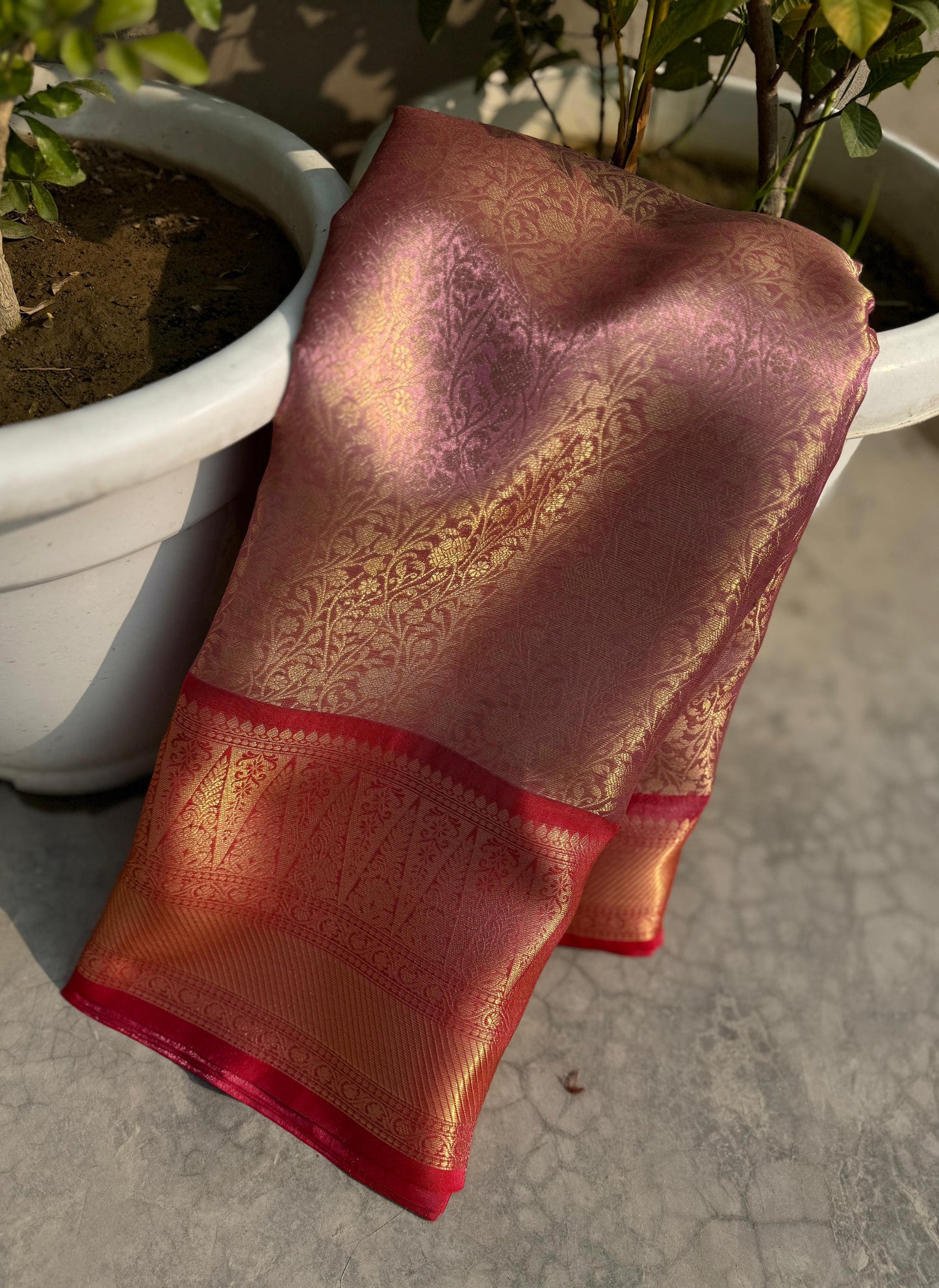 Banarasi Tissue Zari Saree