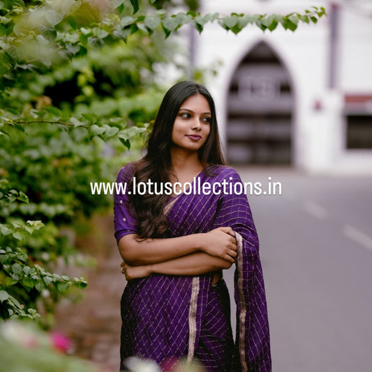 Chinnon Viscose Saree