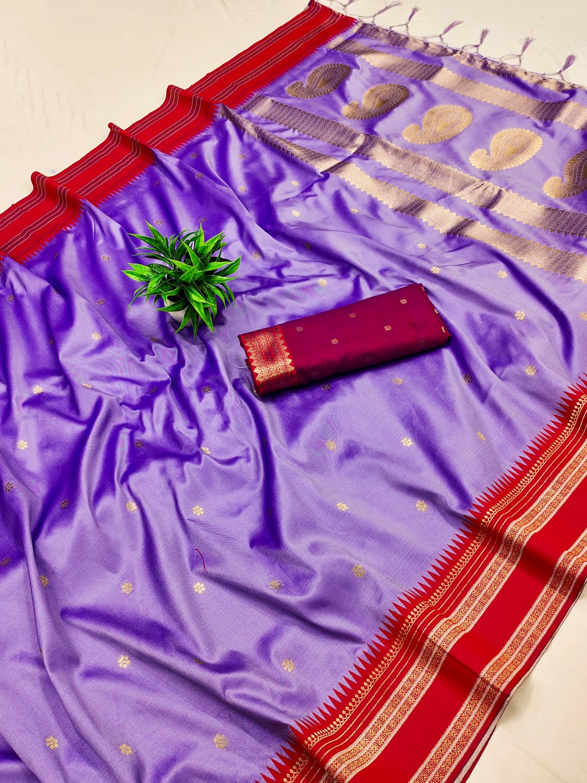 Narayan Pet Saree